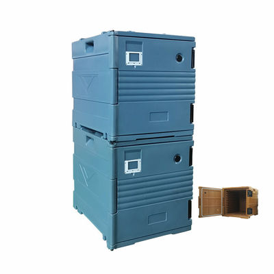 Scatola di trasporto alimentare isolato mantenere la temperatura del cibo con colore personalizzato