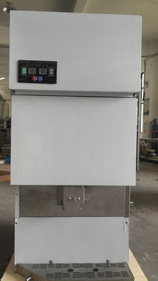 Dispensatore automatico di ghiaccio in acciaio inossidabile da 500 kg con distributore d'acqua