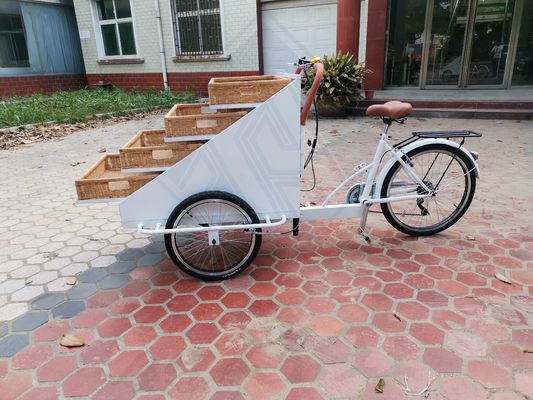 Video Supporto tecnico Food Snack Truck elettrico per carrello di cibo caldo