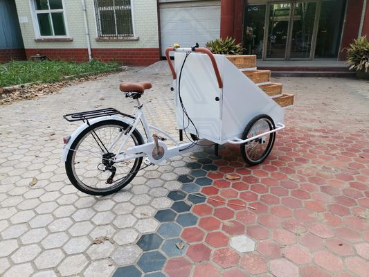 Video Supporto tecnico Food Snack Truck elettrico per carrello di cibo caldo