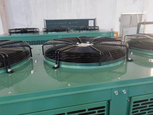 Alta capacità 2 tonnellate al giorno Semi-automatico Industrial Ice Cube Maker JYC-6000P 380V