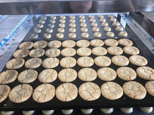 Produttore di biscotti industriali multifunzionale con funzionalità multifunzionale