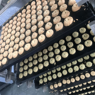 Macchina per fare biscotti di noce morbida completamente automatica con diverse capacità di produzione