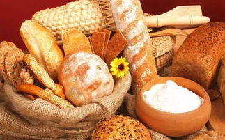 32 vaschette Forno automatico per pane elettrico a gas rotativo