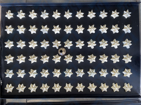 Macchine per la fabbricazione di biscotti e biscotti