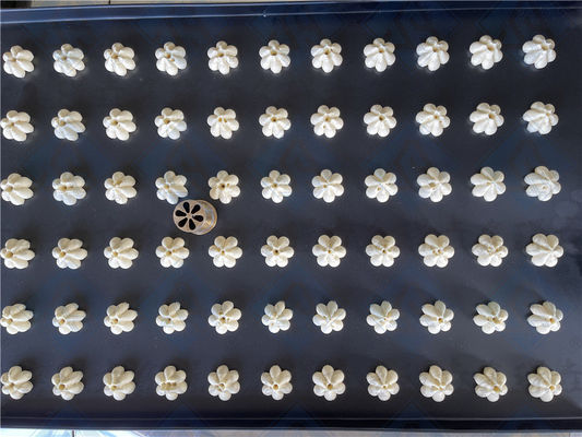 Macchine per la fabbricazione di biscotti e biscotti