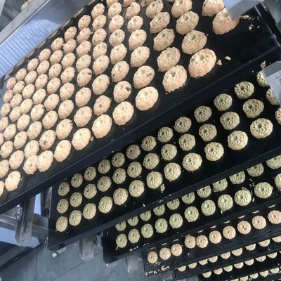 Macchina avanzata per la fabbricazione automatica di biscotti per pasticceria