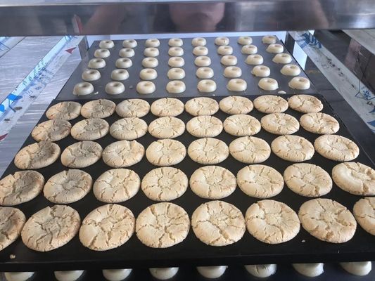 Macchina per la fabbricazione di biscotti a base di verdura per la produzione di biscotti rotondi a base di burro croccante
