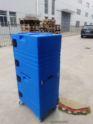 Contenitore isolato La soluzione perfetta per la spedizione di prodotti surgelati