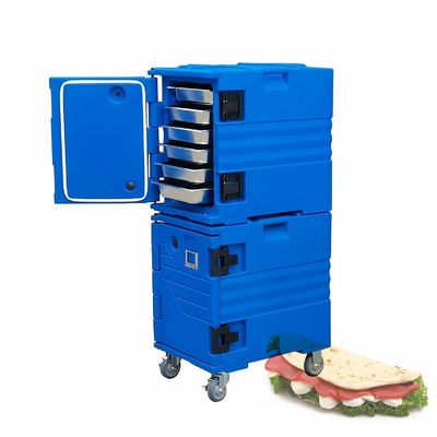 Contenitore isolato La soluzione perfetta per la spedizione di prodotti surgelati