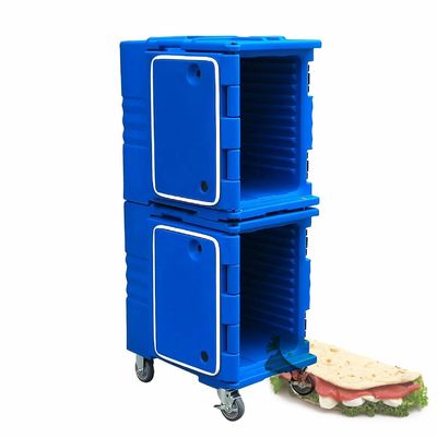 Contenitore isolato La soluzione perfetta per la spedizione di prodotti surgelati