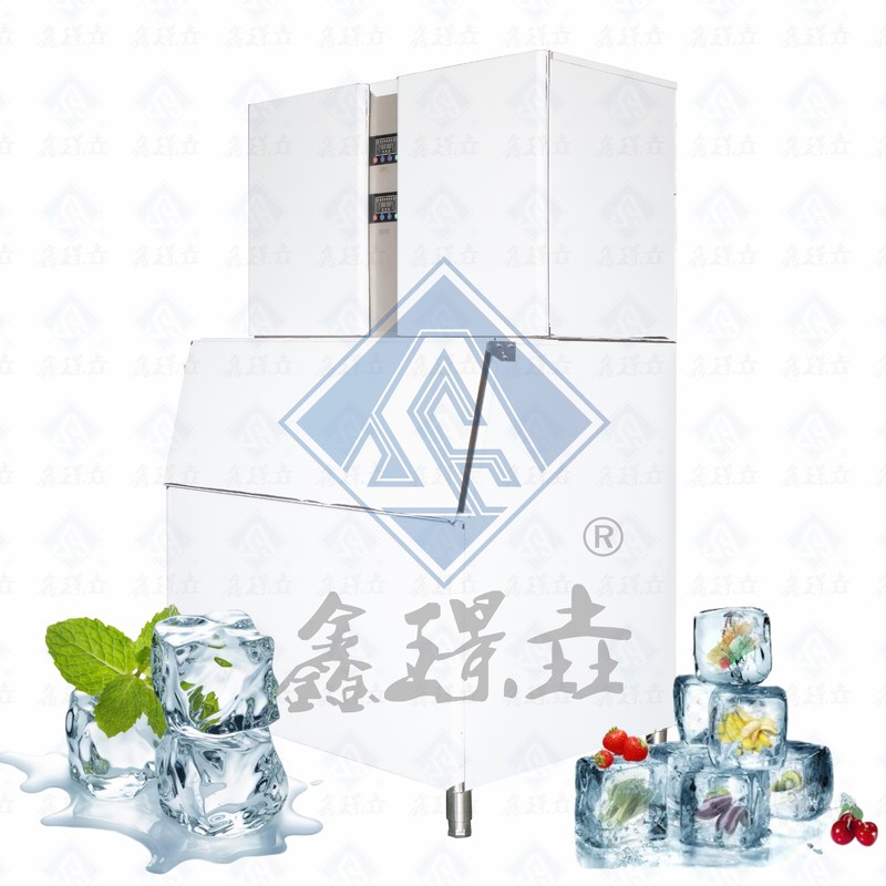 Macchine per la produzione di ghiaccio automatiche in acciaio inossidabile